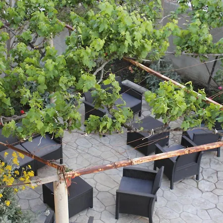 Beni Osmenaj 3* فلورا