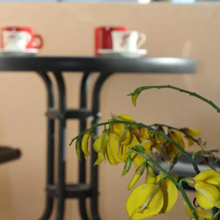 Гостевой дом Beni Osmenaj