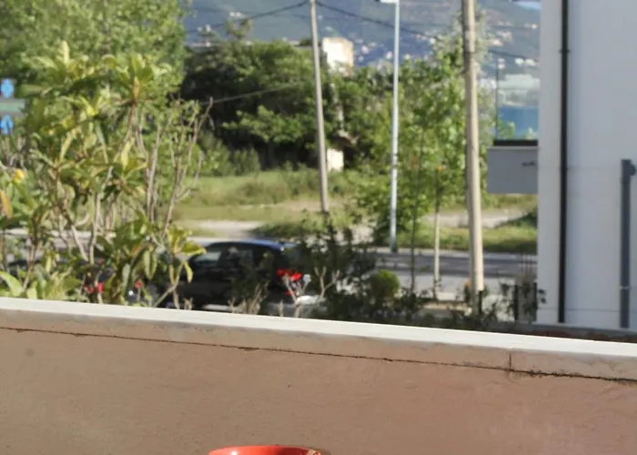Beni Osmenaj Vlorë
