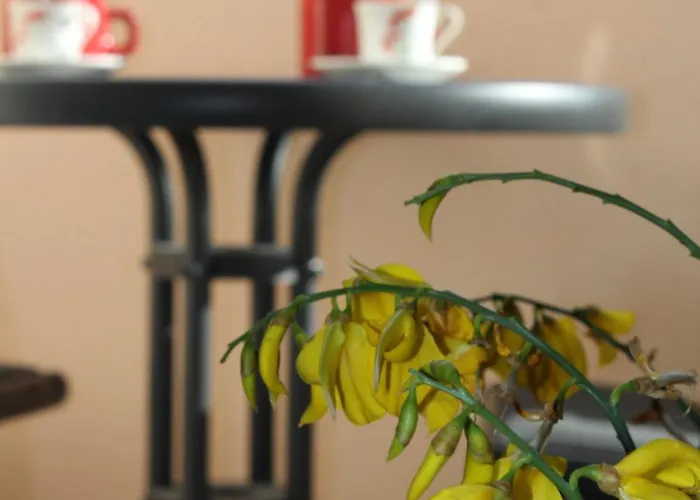 Konukevi Beni Osmenaj